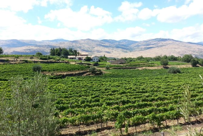 Destro winery