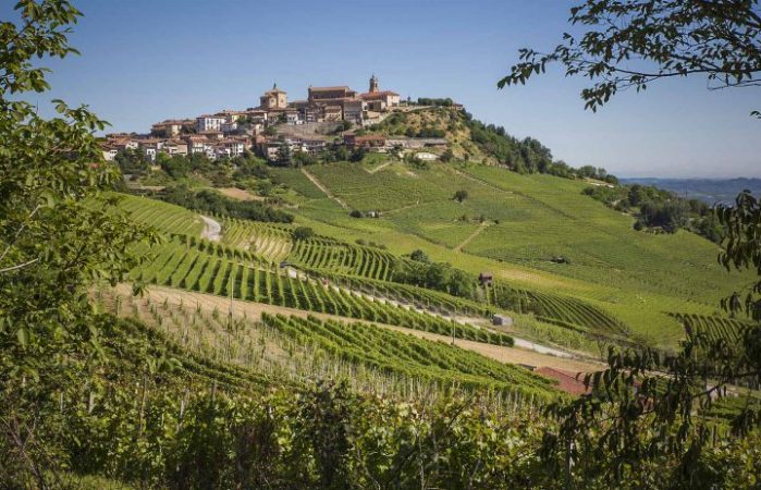 Fabio Oberto Vineyard and Town